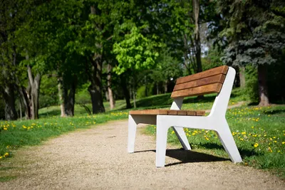 Betongbänk Sävast, med ryggstöd